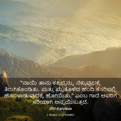 Picture 03 - 2 ಪೇತ್ರನು 2:22 KANIRV - “ನಾಯಿ ತಾನು - Bible Verse Picture