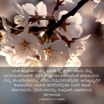 Picture 03 - 2 ಸಮುವೇಲನು 12:11 KANIRV - ಯೆಹೋವನಾದ ನನ್ನ - Bible Verse Picture