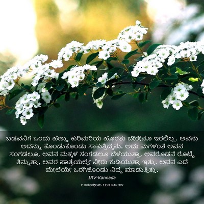 Picture 03 - 2 ಸಮುವೇಲನು 12:3 KANIRV - ಬಡವನಿಗೆ ಒಂದು - Bible Verse Picture