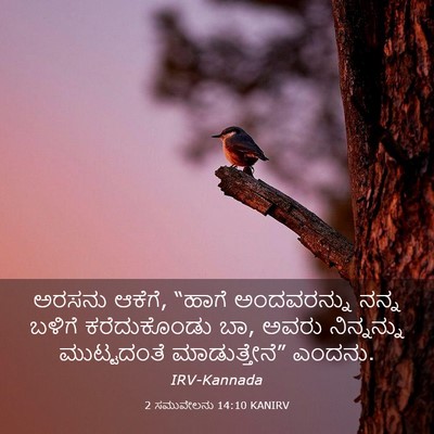 Picture 03 - 2 ಸಮುವೇಲನು 14:10 KANIRV - ಅರಸನು ಆಕೆಗೆ, “ಹಾಗೆ - Bible Verse Picture