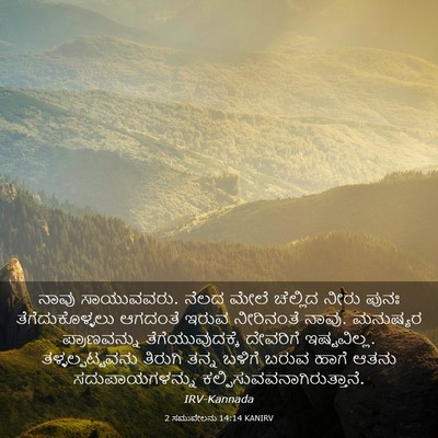 Picture 03 - 2 ಸಮುವೇಲನು 14:14 KANIRV - ನಾವು ಸಾಯುವವರು. - Bible Verse Picture