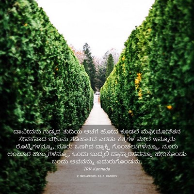 Picture 03 - 2 ಸಮುವೇಲನು 16:1 KANIRV - ದಾವೀದನು ಗುಡ್ಡದ - Bible Verse Picture