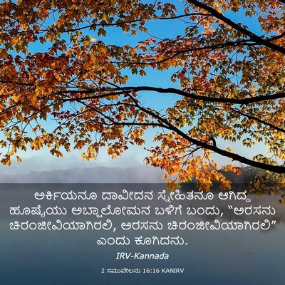 Picture 03 - 2 ಸಮುವೇಲನು 16:16 KANIRV - ಅರ್ಕಿಯನೂ ದಾವೀದನ - Bible Verse Picture