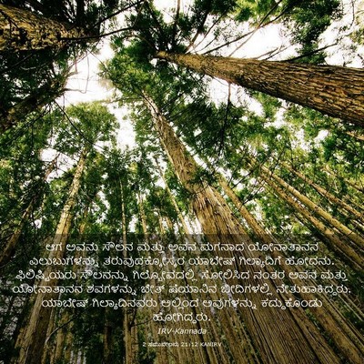 Picture 03 - 2 ಸಮುವೇಲನು 21:12 KANIRV - ಆಗ ಅವನು ಸೌಲನ ಮತ್ತು - Bible Verse Picture