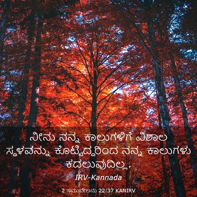 Picture 03 - 2 ಸಮುವೇಲನು 22:37 KANIRV - ನೀನು ನನ್ನ - Bible Verse Picture