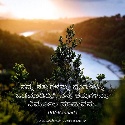 Picture 03 - 2 ಸಮುವೇಲನು 22:41 KANIRV - ನನ್ನ ಶತ್ರುಗಳನ್ನು - Bible Verse Picture