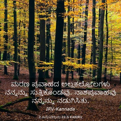 Picture 03 - 2 ಸಮುವೇಲನು 22:5 KANIRV - ಮರಣ ಪ್ರವಾಹದ - Bible Verse Picture