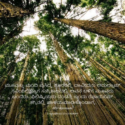 Picture 03 - 2 ಸಮುವೇಲನು 23:13 KANIRV - ಮೂವತ್ತು ಮಂದಿ - Bible Verse Picture