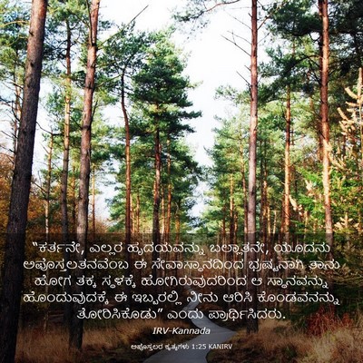 Picture 03 - ಅಪೊಸ್ತಲರ ಕೃತ್ಯಗಳು 1:25 KANIRV - “ಕರ್ತನೇ, ಎಲ್ಲರ - Bible Verse Picture