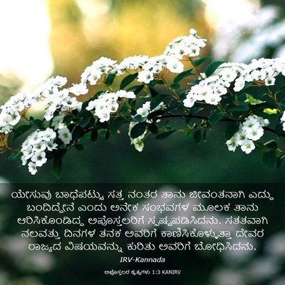 Picture 03 - ಅಪೊಸ್ತಲರ ಕೃತ್ಯಗಳು 1:3 KANIRV - ಯೇಸುವು ಬಾಧೆಪಟ್ಟು - Bible Verse Picture