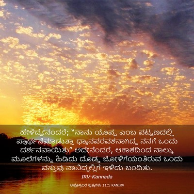 Picture 03 - ಅಪೊಸ್ತಲರ ಕೃತ್ಯಗಳು 11:5 KANIRV - ಹೇಳಿದ್ದೇನಂದರೆ; - Bible Verse Picture
