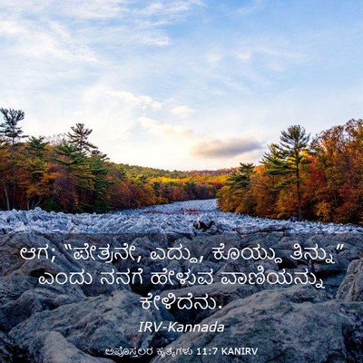 Picture 03 - ಅಪೊಸ್ತಲರ ಕೃತ್ಯಗಳು 11:7 KANIRV - ಆಗ; “ಪೇತ್ರನೇ, - Bible Verse Picture