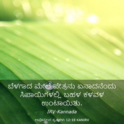 Picture 03 - ಅಪೊಸ್ತಲರ ಕೃತ್ಯಗಳು 12:18 KANIRV - ಬೆಳಗಾದ ಮೇಲೆ - Bible Verse Picture