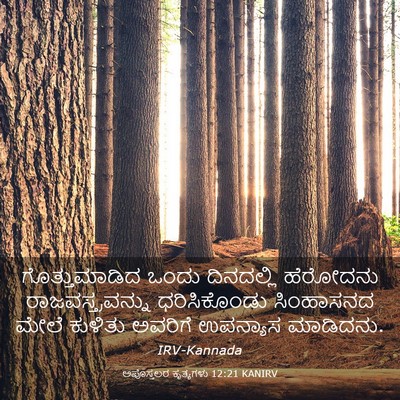 Picture 03 - ಅಪೊಸ್ತಲರ ಕೃತ್ಯಗಳು 12:21 KANIRV - ಗೊತ್ತುಮಾಡಿದ ಒಂದು - Bible Verse Picture
