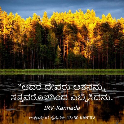 Picture 03 - ಅಪೊಸ್ತಲರ ಕೃತ್ಯಗಳು 13:30 KANIRV - “ಆದರೆ ದೇವರು - Bible Verse Picture