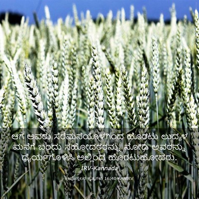 Picture 03 - ಅಪೊಸ್ತಲರ ಕೃತ್ಯಗಳು 16:40 KANIRV - ಆಗ ಅವರು - Bible Verse Picture