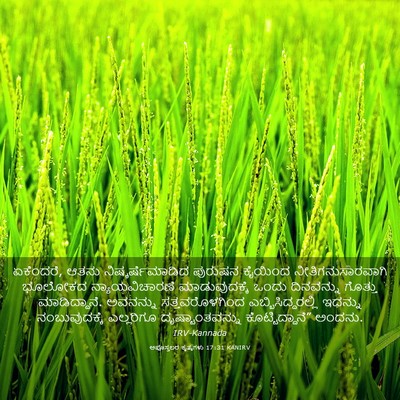 Picture 03 - ಅಪೊಸ್ತಲರ ಕೃತ್ಯಗಳು 17:31 KANIRV - ಏಕೆಂದರೆ, ಆತನು - Bible Verse Picture