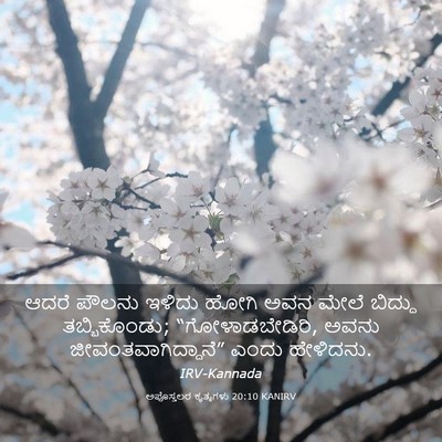 Picture 03 - ಅಪೊಸ್ತಲರ ಕೃತ್ಯಗಳು 20:10 KANIRV - ಆದರೆ ಪೌಲನು ಇಳಿದು - Bible Verse Picture