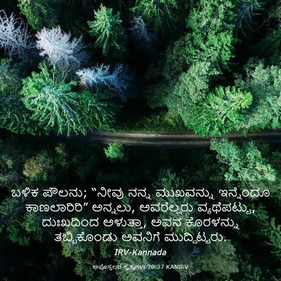 Picture 03 - ಅಪೊಸ್ತಲರ ಕೃತ್ಯಗಳು 20:37 KANIRV - ಬಳಿಕ ಪೌಲನು; “ನೀವು - Bible Verse Picture