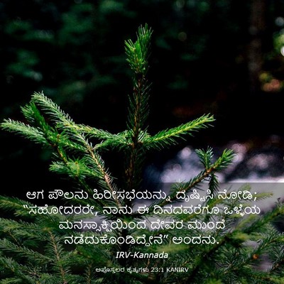 Picture 03 - ಅಪೊಸ್ತಲರ ಕೃತ್ಯಗಳು 23:1 KANIRV - ಆಗ ಪೌಲನು - Bible Verse Picture