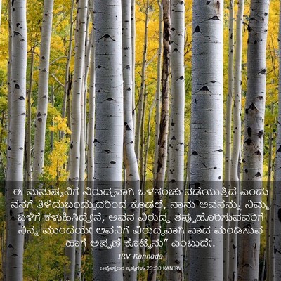 Picture 03 - ಅಪೊಸ್ತಲರ ಕೃತ್ಯಗಳು 23:30 KANIRV - ಈ ಮನುಷ್ಯನಿಗೆ - Bible Verse Picture