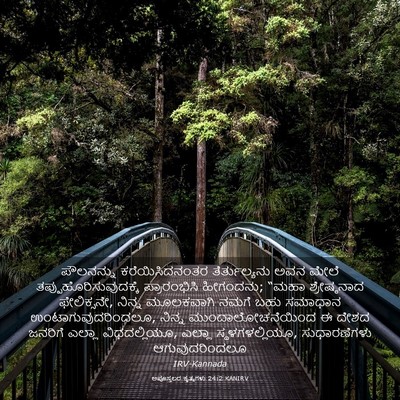 Picture 03 - ಅಪೊಸ್ತಲರ ಕೃತ್ಯಗಳು 24:2 KANIRV - ಪೌಲನನ್ನು - Bible Verse Picture