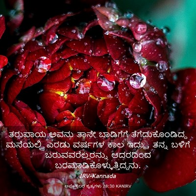 Picture 03 - ಅಪೊಸ್ತಲರ ಕೃತ್ಯಗಳು 28:30 KANIRV - ತರುವಾಯ ಅವನು ತಾನೇ - Bible Verse Picture