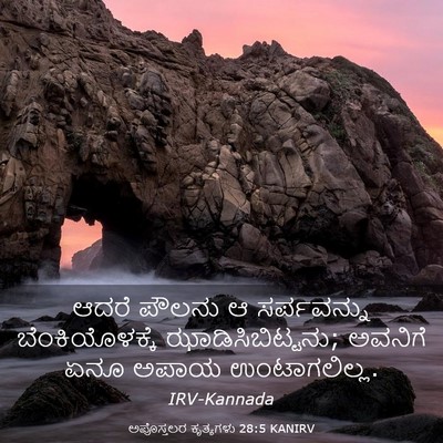 Picture 03 - ಅಪೊಸ್ತಲರ ಕೃತ್ಯಗಳು 28:5 KANIRV - ಆದರೆ ಪೌಲನು ಆ - Bible Verse Picture