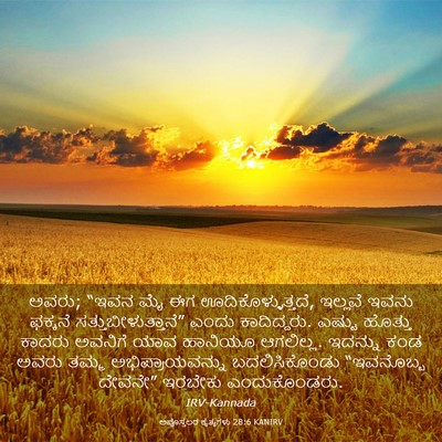 Picture 03 - ಅಪೊಸ್ತಲರ ಕೃತ್ಯಗಳು 28:6 KANIRV - ಅವರು; “ಇವನ ಮೈ ಈಗ - Bible Verse Picture