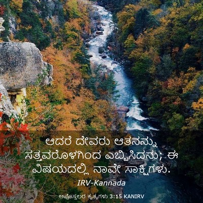 Picture 03 - ಅಪೊಸ್ತಲರ ಕೃತ್ಯಗಳು 3:15 KANIRV - ಆದರೆ ದೇವರು - Bible Verse Picture