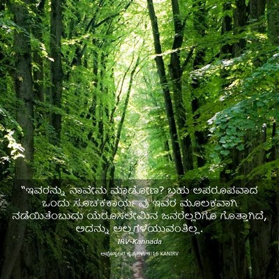 Picture 03 - ಅಪೊಸ್ತಲರ ಕೃತ್ಯಗಳು 4:16 KANIRV - “ಇವರನ್ನು ನಾವೇನು - Bible Verse Picture