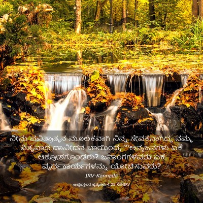 Picture 03 - ಅಪೊಸ್ತಲರ ಕೃತ್ಯಗಳು 4:25 KANIRV - ನೀನು ಪವಿತ್ರಾತ್ಮನ - Bible Verse Picture