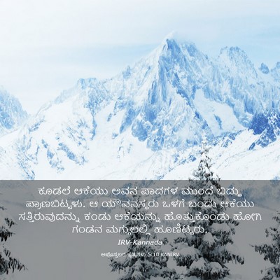 Picture 03 - ಅಪೊಸ್ತಲರ ಕೃತ್ಯಗಳು 5:10 KANIRV - ಕೂಡಲೆ ಆಕೆಯು ಅವನ - Bible Verse Picture