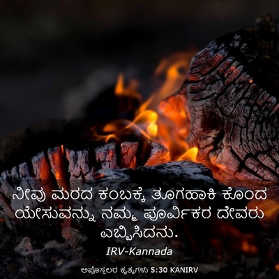 Picture 03 - ಅಪೊಸ್ತಲರ ಕೃತ್ಯಗಳು 5:30 KANIRV - ನೀವು ಮರದ ಕಂಬಕ್ಕೆ - Bible Verse Picture