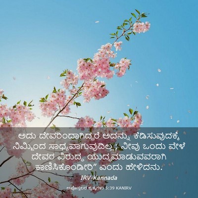 Picture 03 - ಅಪೊಸ್ತಲರ ಕೃತ್ಯಗಳು 5:39 KANIRV - ಅದು - Bible Verse Picture