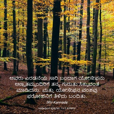 Picture 03 - ಅಪೊಸ್ತಲರ ಕೃತ್ಯಗಳು 7:13 KANIRV - ಅವರು ಎರಡನೆಯ ಸಾರಿ - Bible Verse Picture