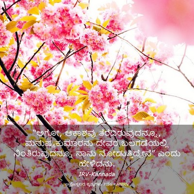 Picture 03 - ಅಪೊಸ್ತಲರ ಕೃತ್ಯಗಳು 7:56 KANIRV - “ಅಗೋ, ಆಕಾಶವು - Bible Verse Picture