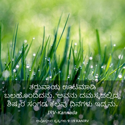 Picture 03 - ಅಪೊಸ್ತಲರ ಕೃತ್ಯಗಳು 9:19 KANIRV - ತರುವಾಯ ಊಟಮಾಡಿ - Bible Verse Picture