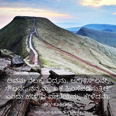 Picture 03 - ಅಪೊಸ್ತಲರ ಕೃತ್ಯಗಳು 9:4 KANIRV - ಅವನು ನೆಲಕ್ಕೆ - Bible Verse Picture