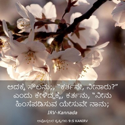 Picture 03 - ಅಪೊಸ್ತಲರ ಕೃತ್ಯಗಳು 9:5 KANIRV - ಅದಕ್ಕೆ ಸೌಲನು;, - Bible Verse Picture