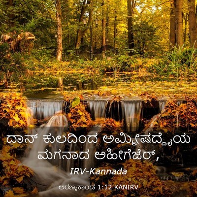 Picture 03 - ಅರಣ್ಯಕಾಂಡ 1:12 KANIRV - ದಾನ್ ಕುಲದಿಂದ - Bible Verse Picture
