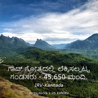 Picture 03 - ಅರಣ್ಯಕಾಂಡ 1:25 KANIRV - ಗಾದ್ ಗೋತ್ರದಲ್ಲಿ - Bible Verse Picture
