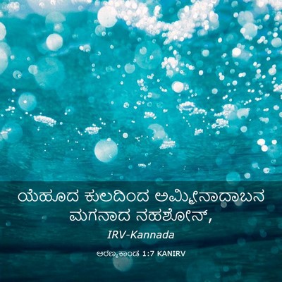 Picture 03 - ಅರಣ್ಯಕಾಂಡ 1:7 KANIRV - ಯೆಹೂದ ಕುಲದಿಂದ - Bible Verse Picture