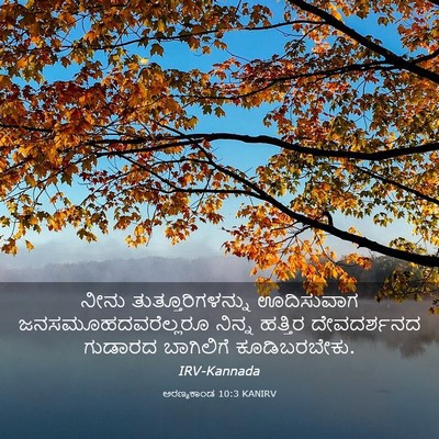 Picture 03 - ಅರಣ್ಯಕಾಂಡ 10:3 KANIRV - ನೀನು - Bible Verse Picture