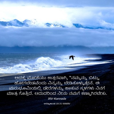 Picture 03 - ಅರಣ್ಯಕಾಂಡ 10:31 KANIRV - ಅದಕ್ಕೆ ಮೋಶೆಯು - Bible Verse Picture
