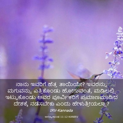 Picture 03 - ಅರಣ್ಯಕಾಂಡ 11:12 KANIRV - ನಾನು ಇವರಿಗೆ ಹೆತ್ತ - Bible Verse Picture