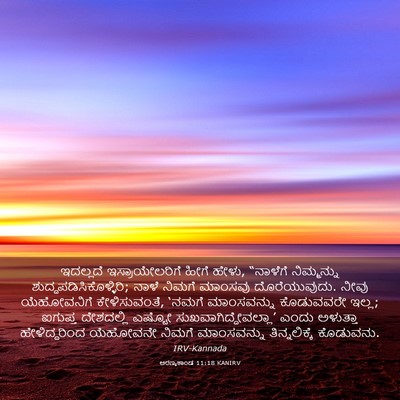 Picture 03 - ಅರಣ್ಯಕಾಂಡ 11:18 KANIRV - ಇದಲ್ಲದೆ - Bible Verse Picture