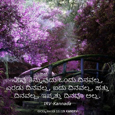 Picture 03 - ಅರಣ್ಯಕಾಂಡ 11:19 KANIRV - ನೀವು ತಿನ್ನುವುದು - Bible Verse Picture