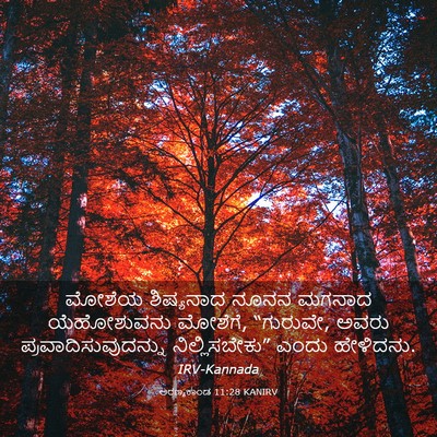 Picture 03 - ಅರಣ್ಯಕಾಂಡ 11:28 KANIRV - ಮೋಶೆಯ ಶಿಷ್ಯನಾದ - Bible Verse Picture
