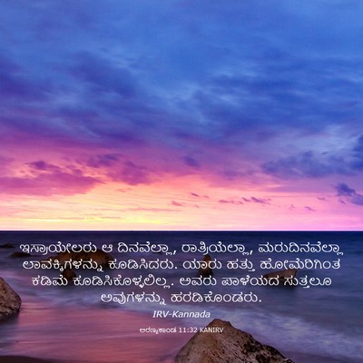 Picture 03 - ಅರಣ್ಯಕಾಂಡ 11:32 KANIRV - ಇಸ್ರಾಯೇಲರು ಆ - Bible Verse Picture